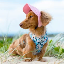 Dog Cap - Pink