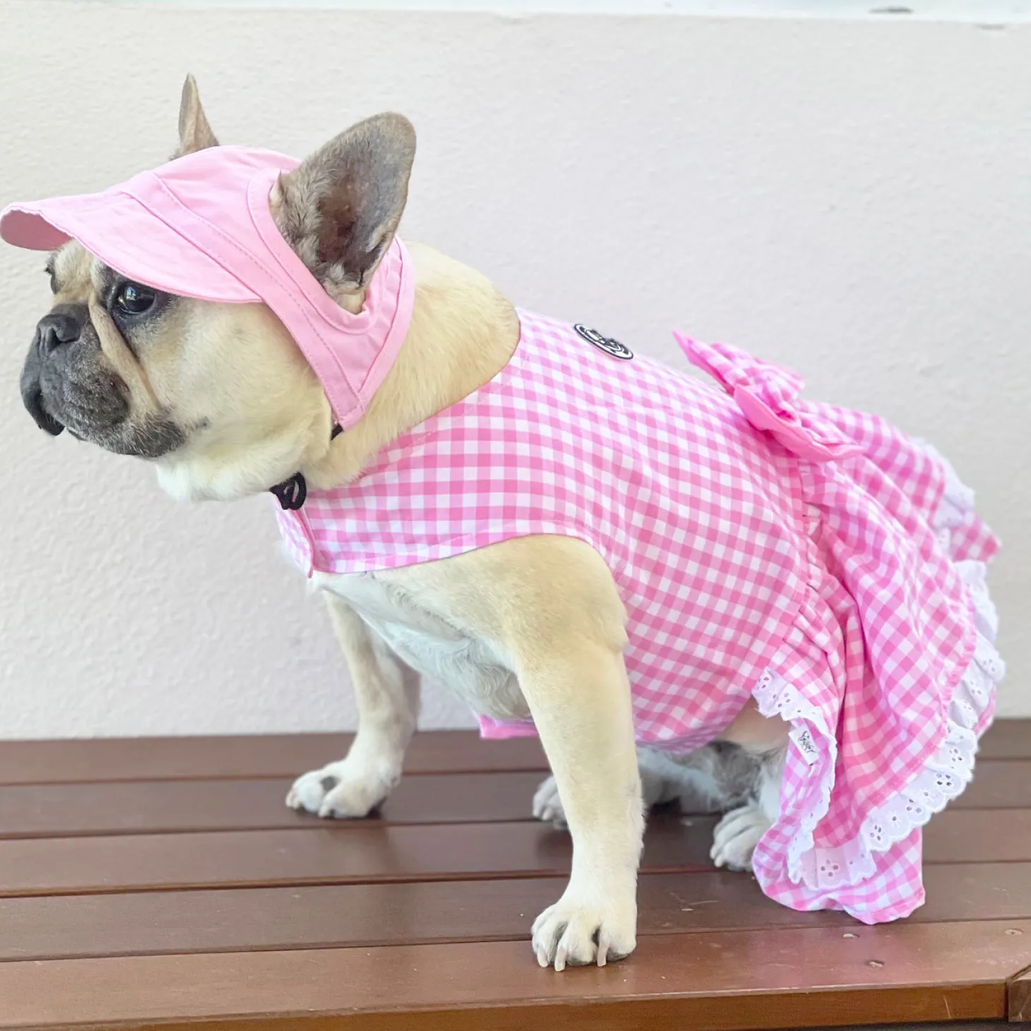 Dog Cap - Pink