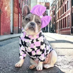 Floral Checkers Dog Skivvie (Limited Edition)