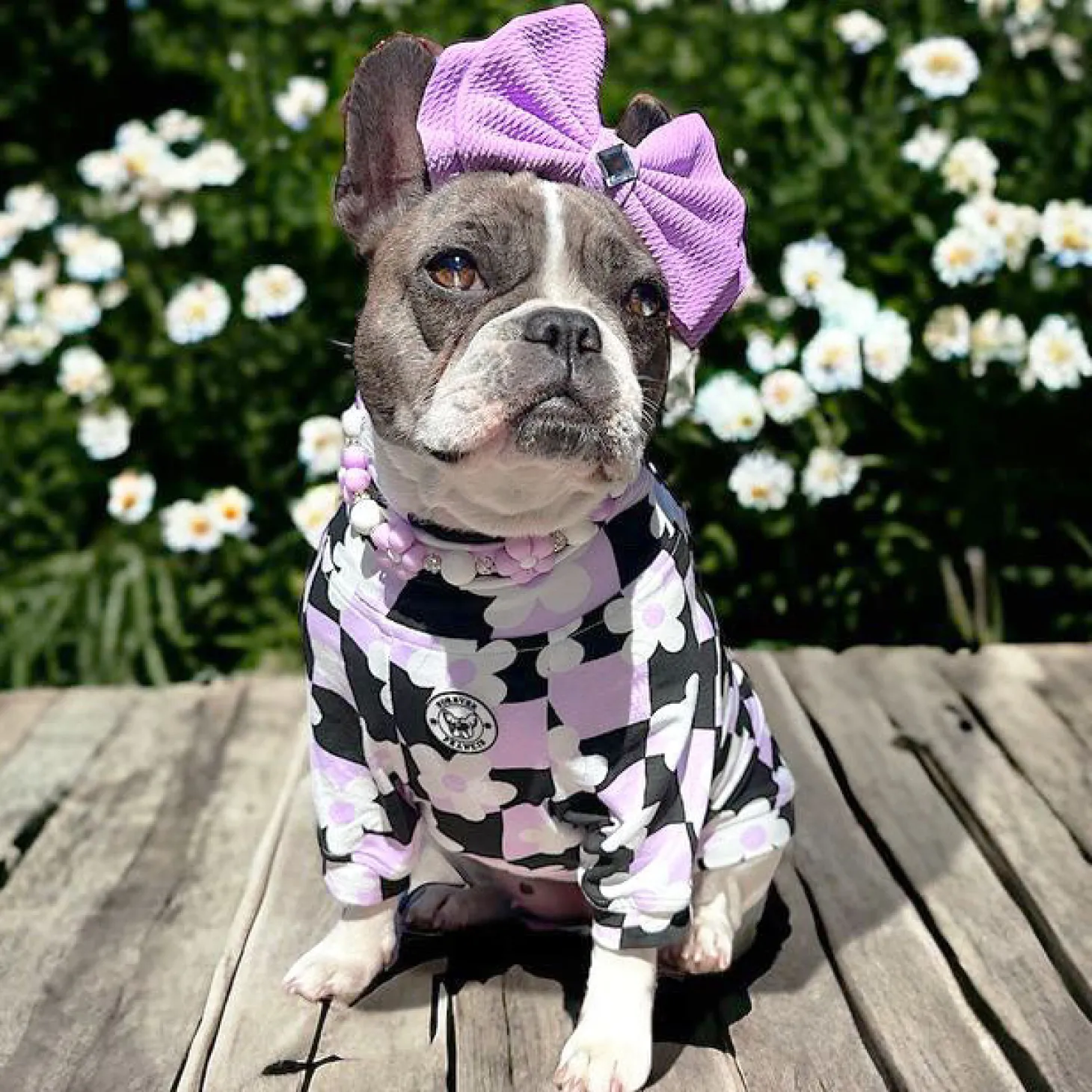 Floral Checkers Dog Skivvie (Limited Edition)
