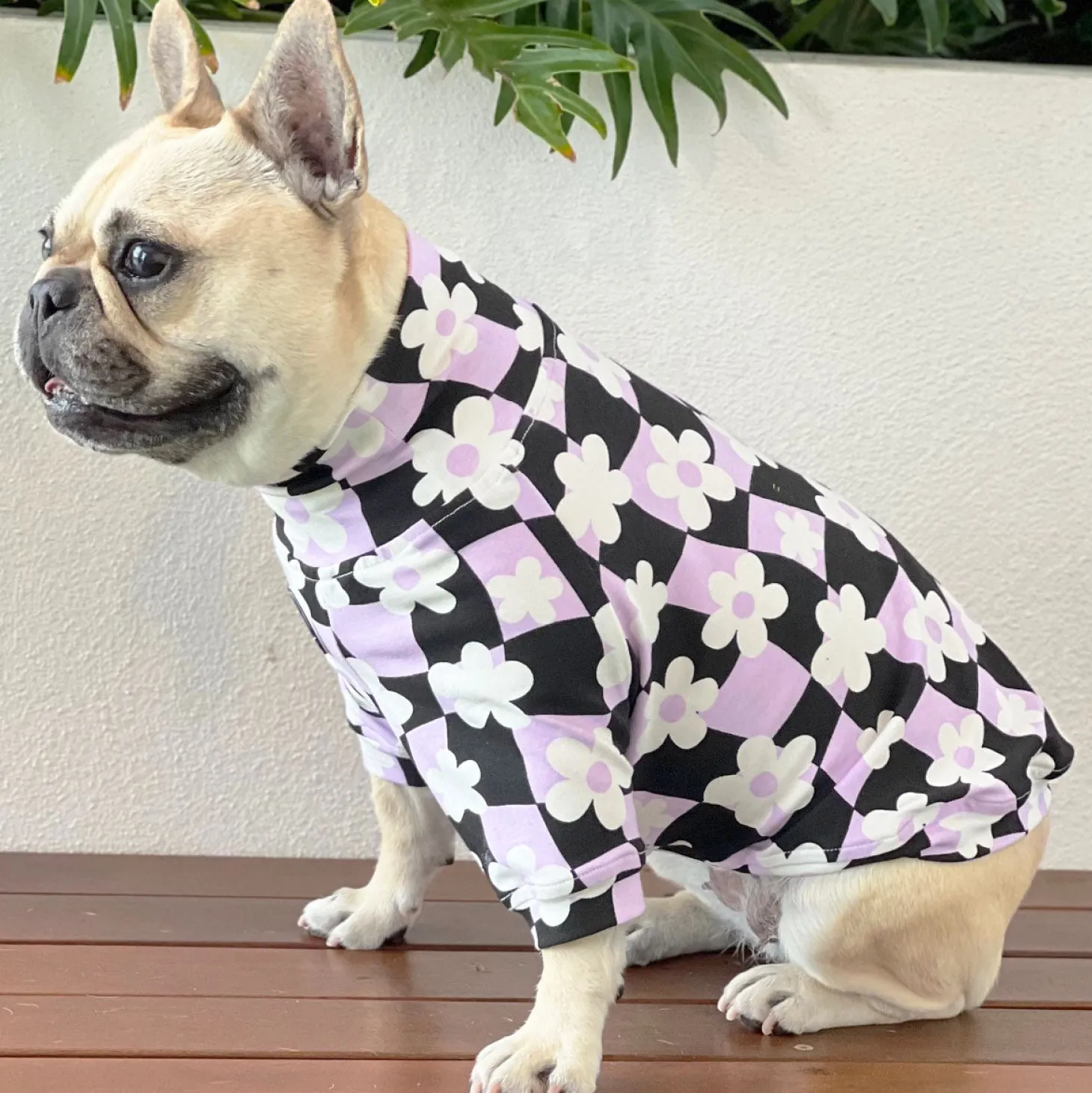 Floral Checkers Dog Skivvie (Limited Edition)