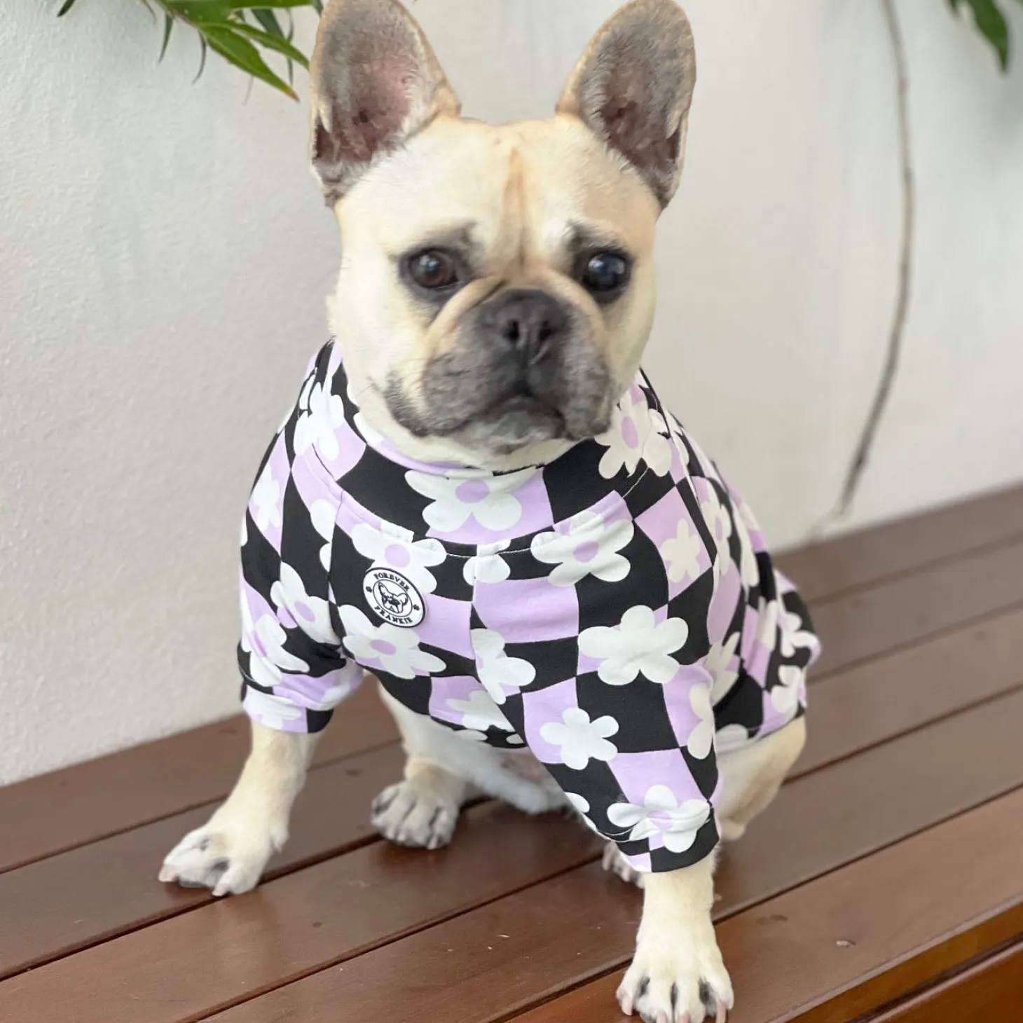 Floral Checkers Dog Skivvie (Limited Edition)