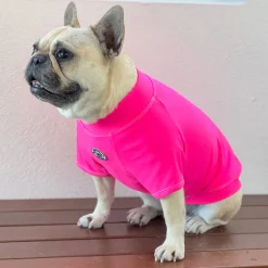 Fluoro Pink - Sun & Sand Rashie UV 50+