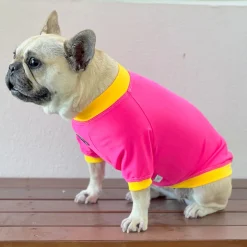 Fluoro Pink & Yellow - Specialised Ribbed Sun & Sand Rashie UV 50+