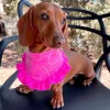 Fluoro Pink Love Bandana