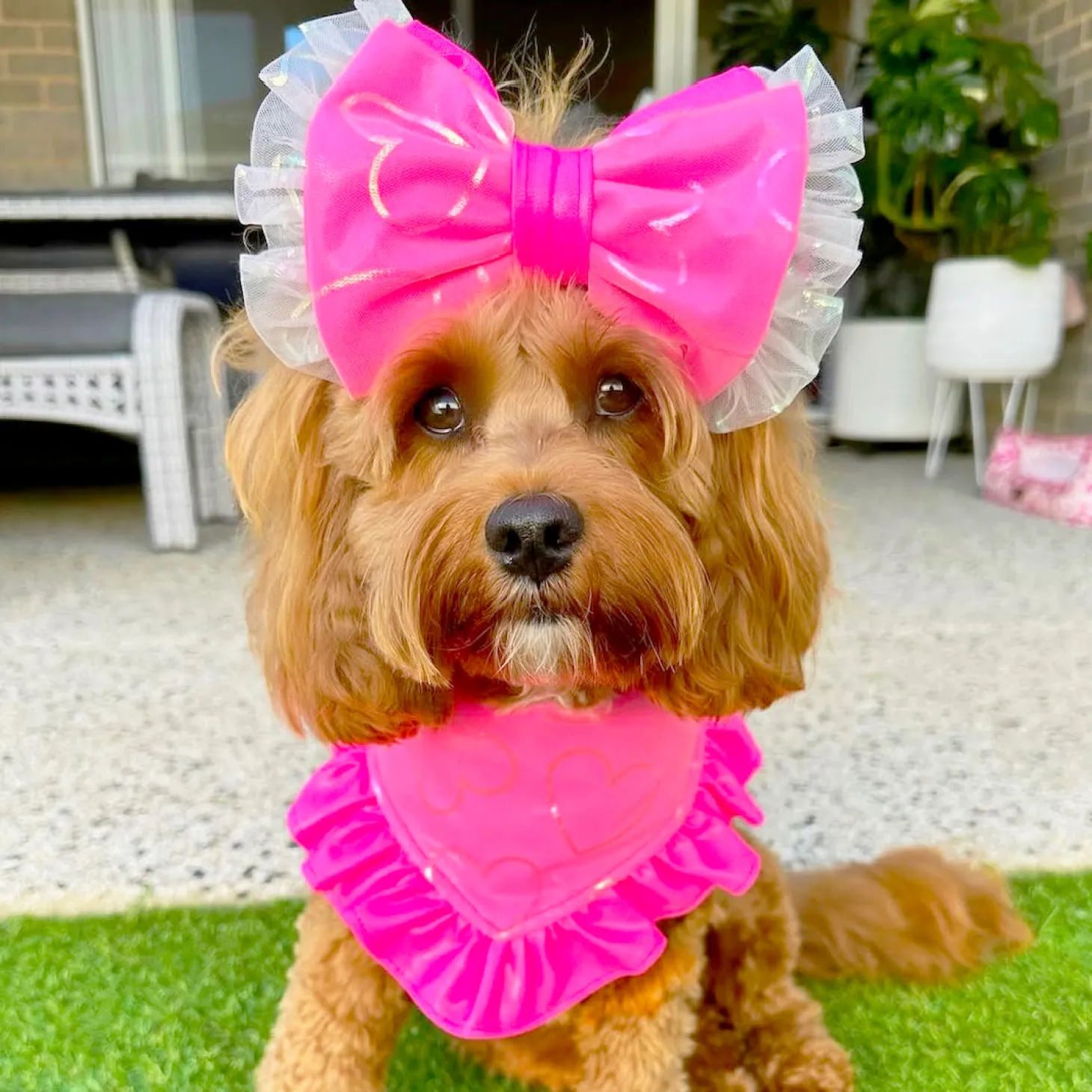 Fluoro Pink Love Bandana