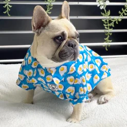 Fry Day Fun- Party Shirt