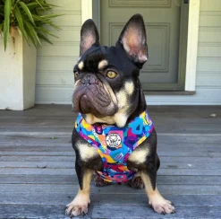 Geometric Splash - Adjustable Harness