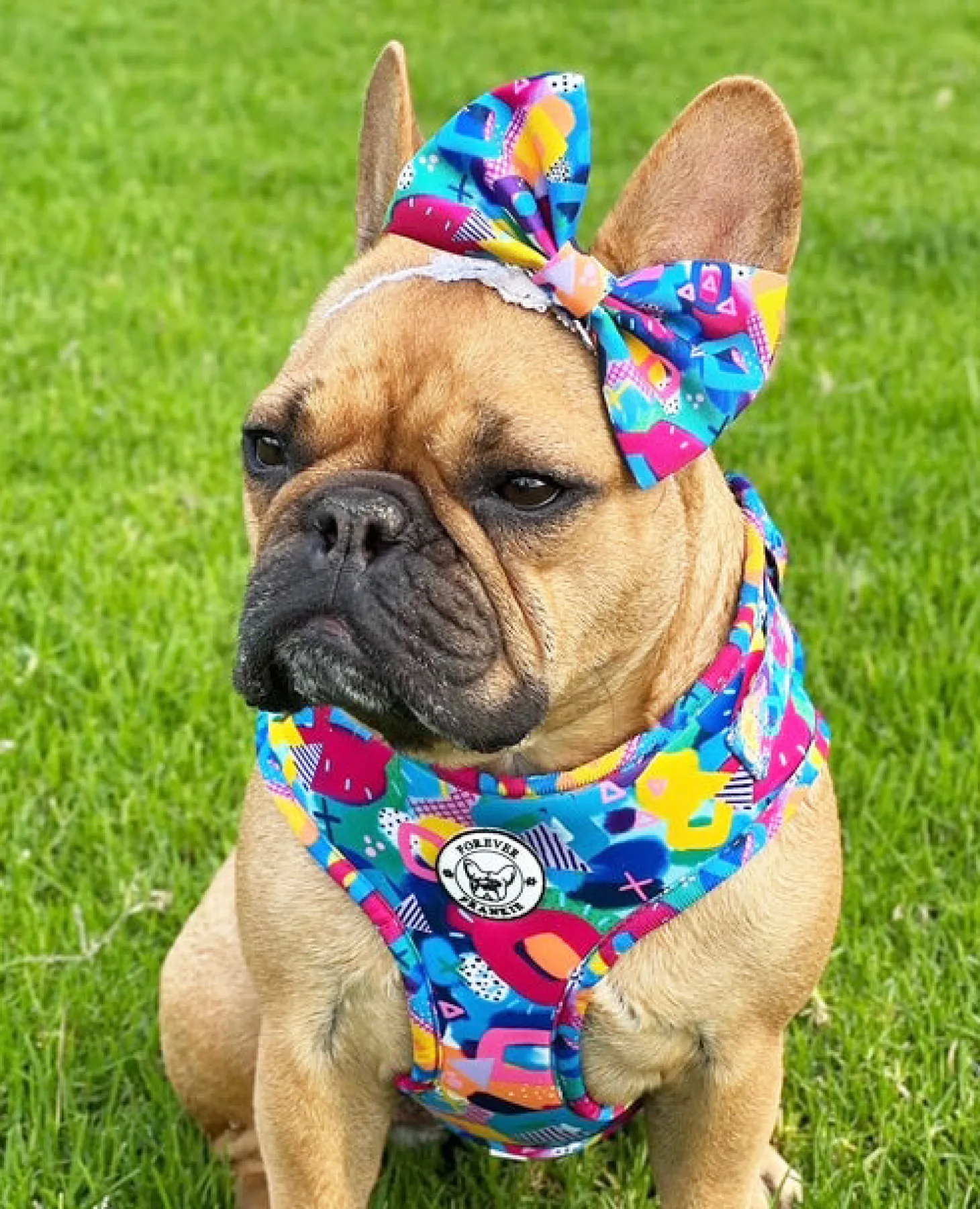 Geometric Splash - Adjustable Harness