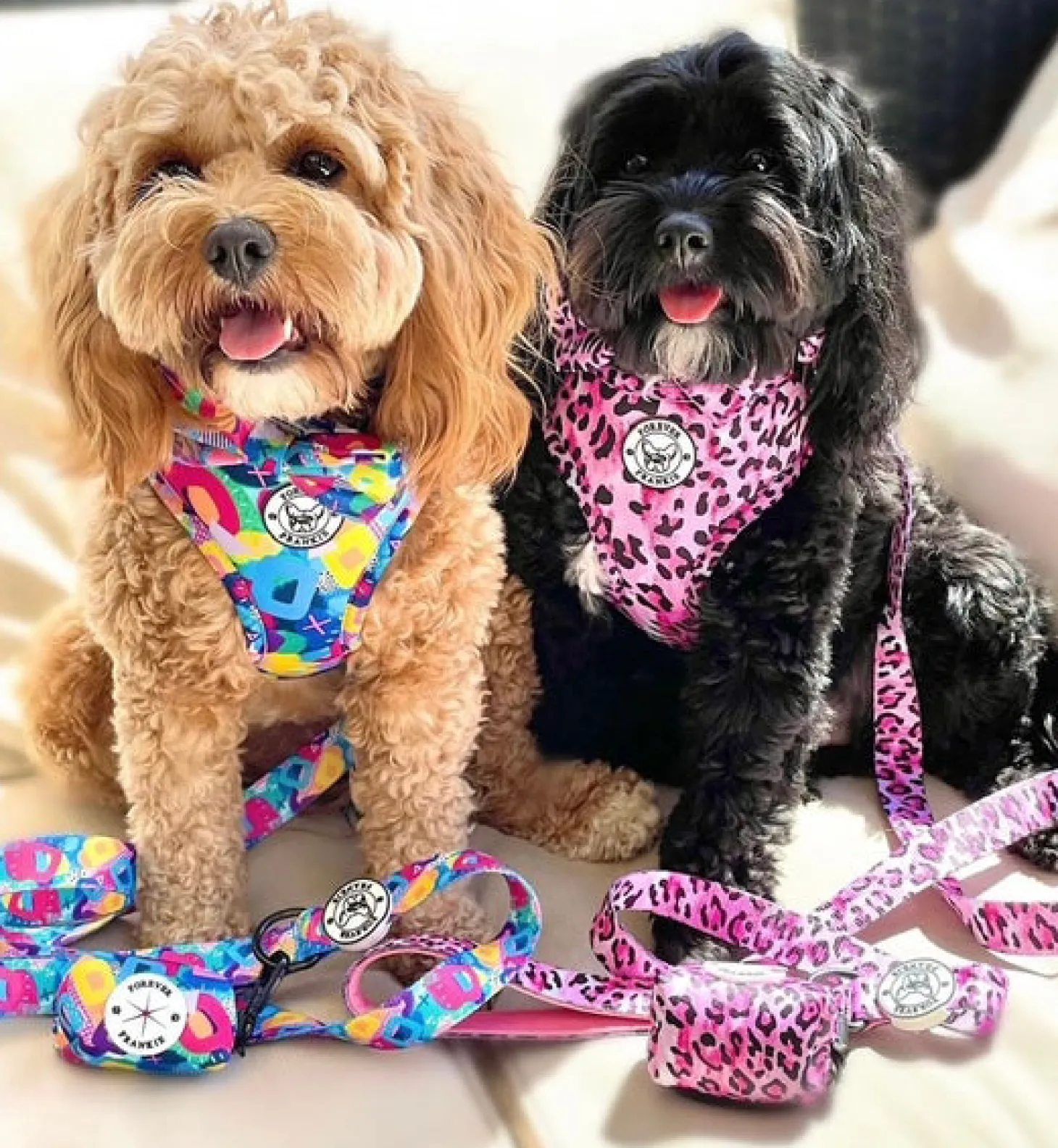 Geometric Splash - Adjustable Harness