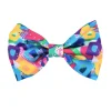 Geometric Splash - Bow Tie