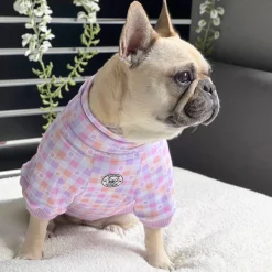 Gingham Explosion Dog Skivvie (Limited Edition)