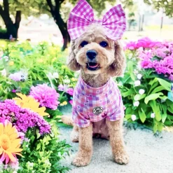 Gingham Explosion Dog Skivvie (Limited Edition)