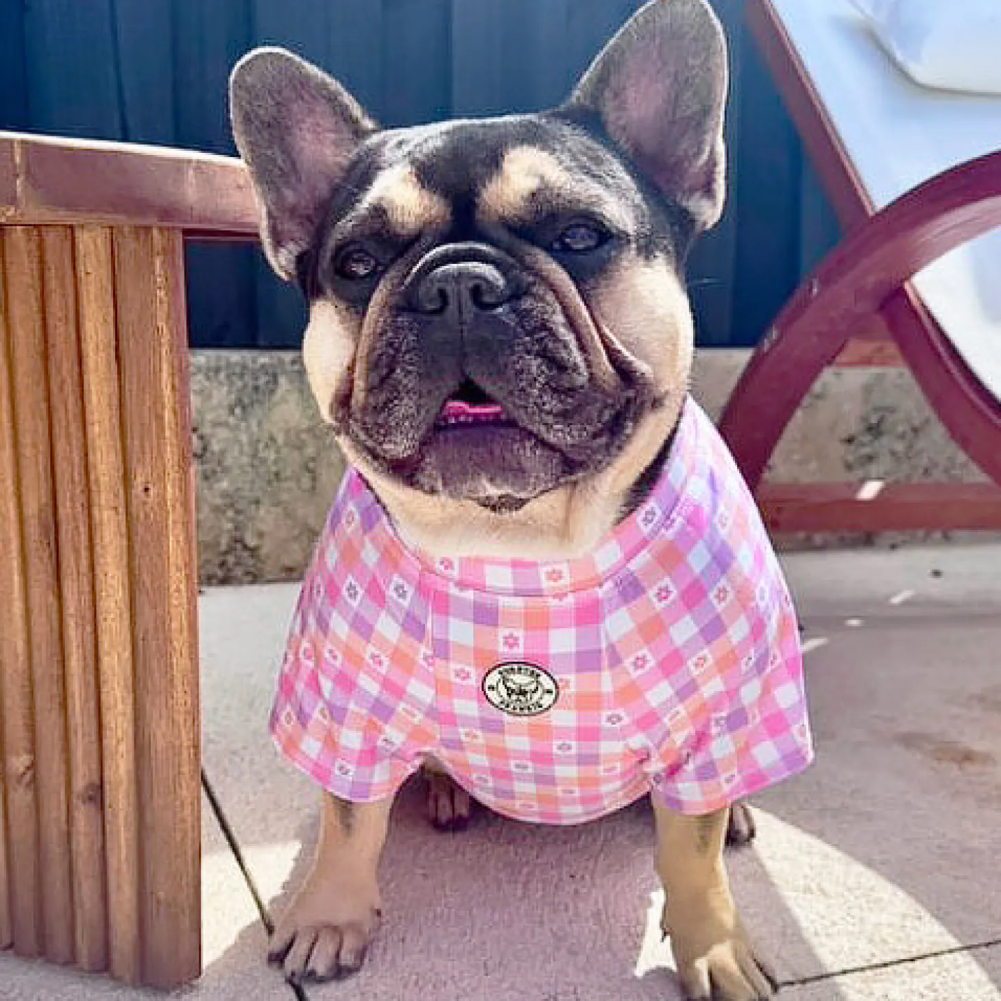 Gingham Explosion- Sun & Sand Rashie UV 50+