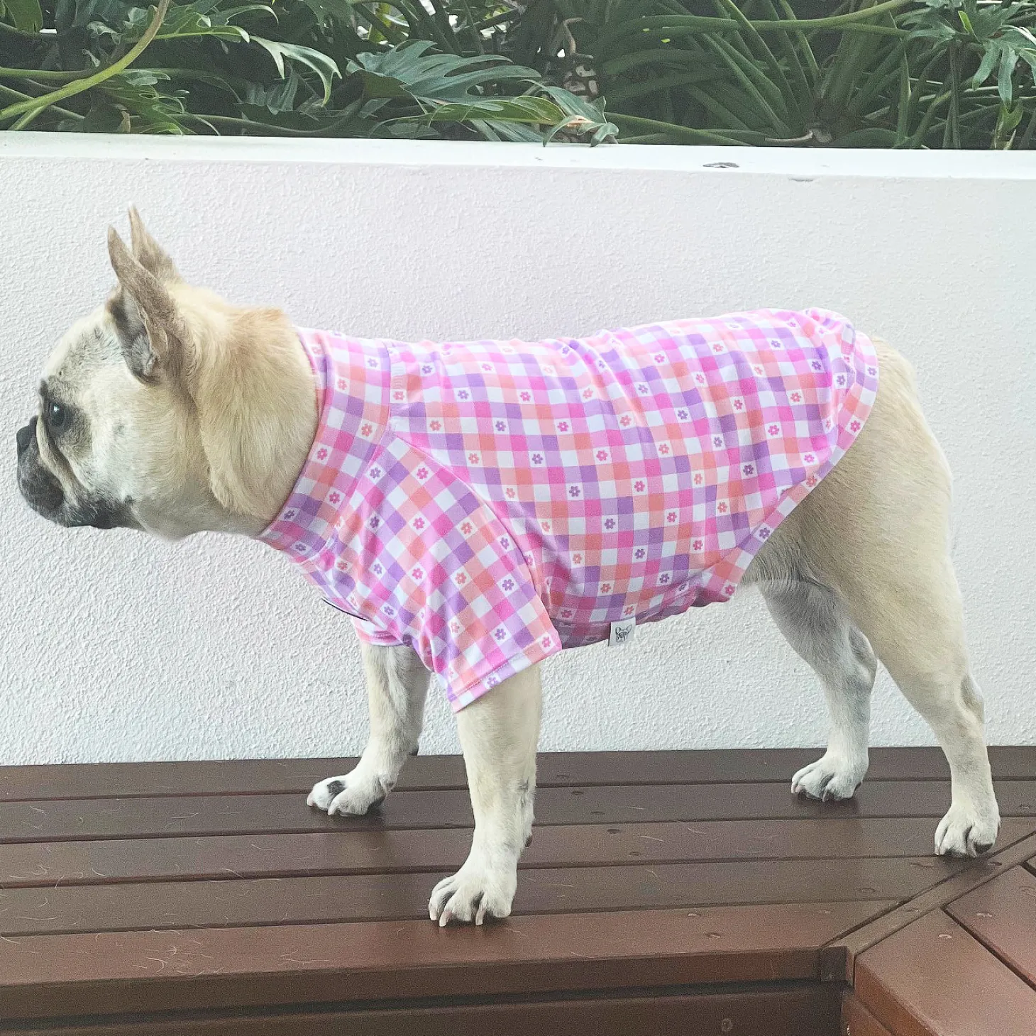 Gingham Explosion- Sun & Sand Rashie UV 50+