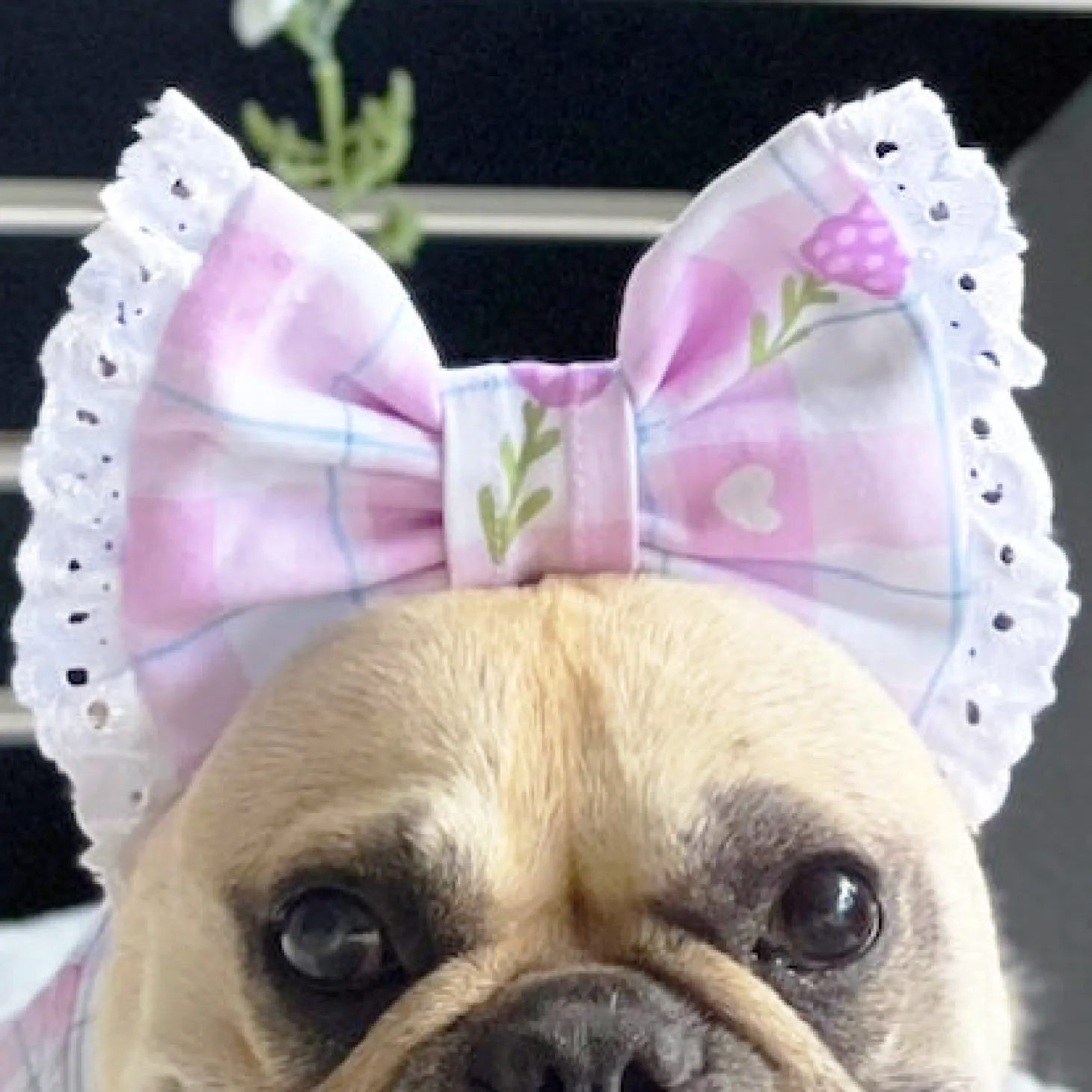 Gingham Lavender Dream - Head Bow (Limited Edition)