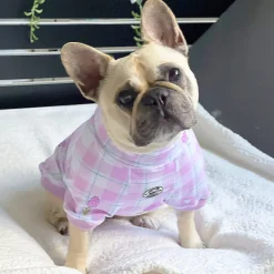 Gingham Lavender Dream Dog Skivvie (Limited Edition)