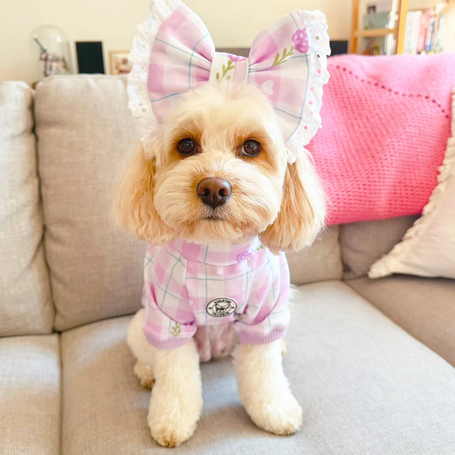 Gingham Lavender Dream Dog Skivvie (Limited Edition)