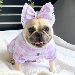 Gingham Lavender Dream Dog Skivvie (Limited Edition)