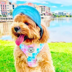 Gingham Wonderland - Adjustable Harness