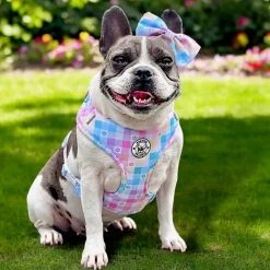 Gingham Wonderland - Adjustable Harness
