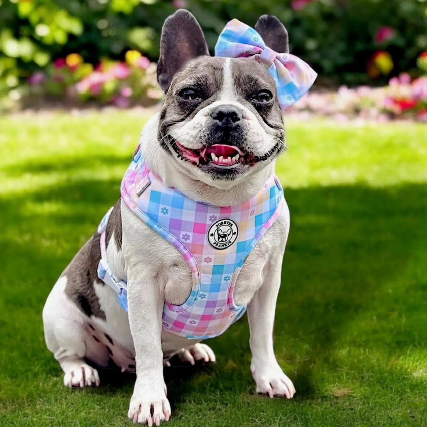 Gingham Wonderland - Adjustable Harness