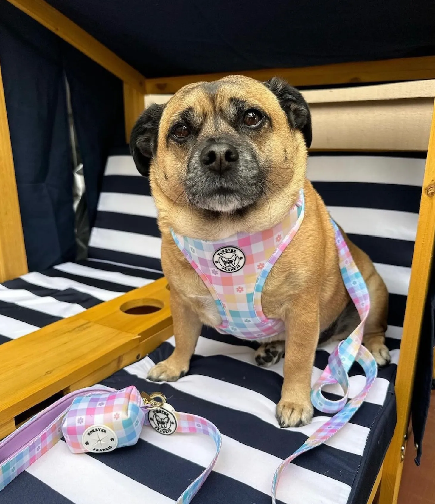 Gingham Wonderland - Adjustable Harness