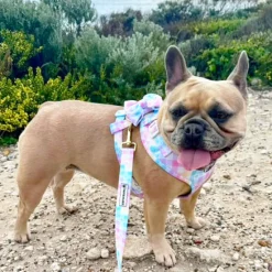 Gingham Wonderland - Adjustable Harness