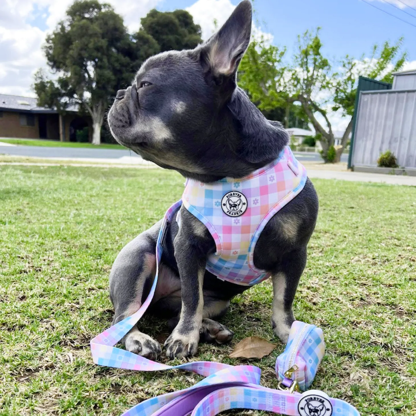 Gingham Wonderland - Adjustable Harness