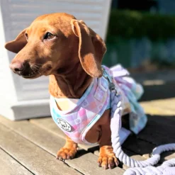 Gingham Wonderland - Adjustable Harness