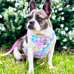 Gingham Wonderland - Adjustable Harness
