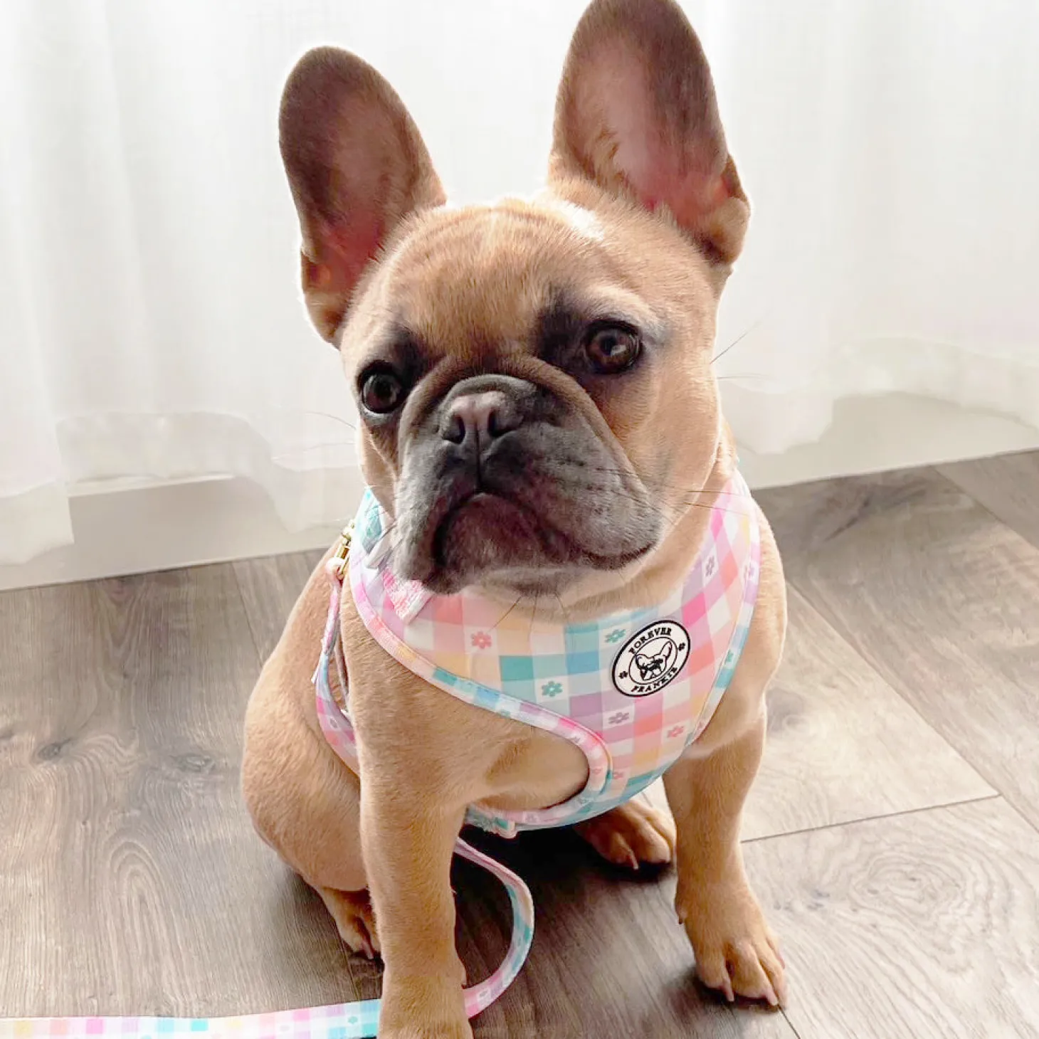 Gingham Wonderland - Adjustable Harness