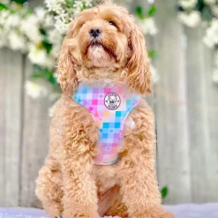 Gingham Wonderland - Adjustable Harness