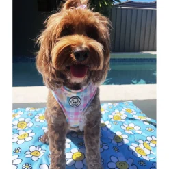 Gingham Wonderland - Adjustable Harness