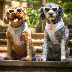 Gingham Wonderland - Adjustable Harness