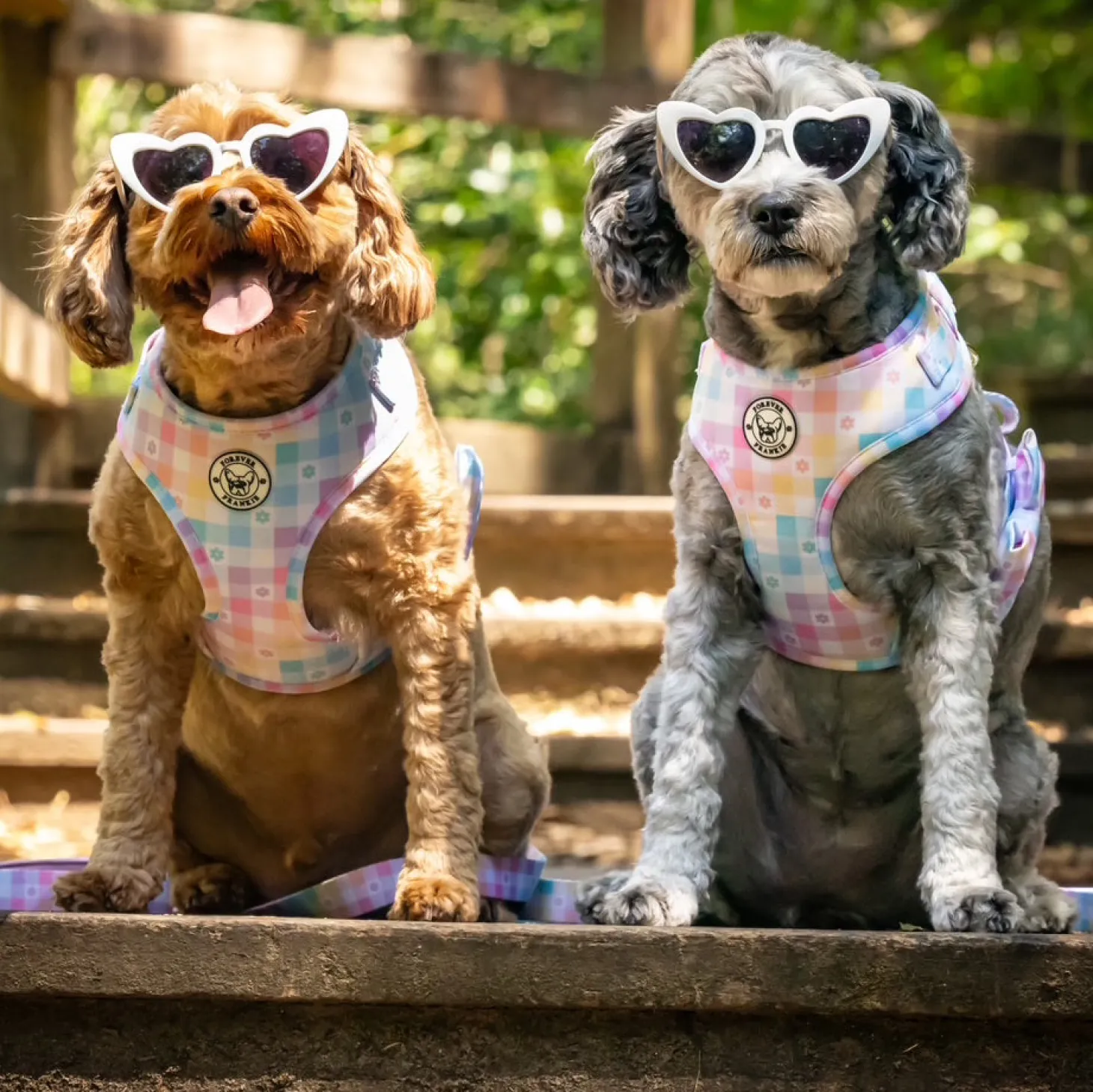 Gingham Wonderland - Adjustable Harness