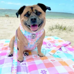 Gingham Wonderland - Adjustable Harness