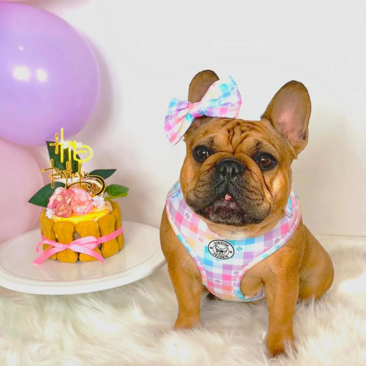 Gingham Wonderland - Adjustable Harness