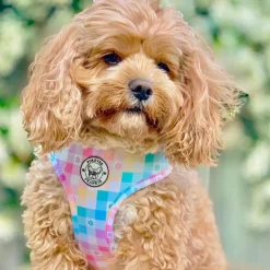 Gingham Wonderland - Adjustable Harness
