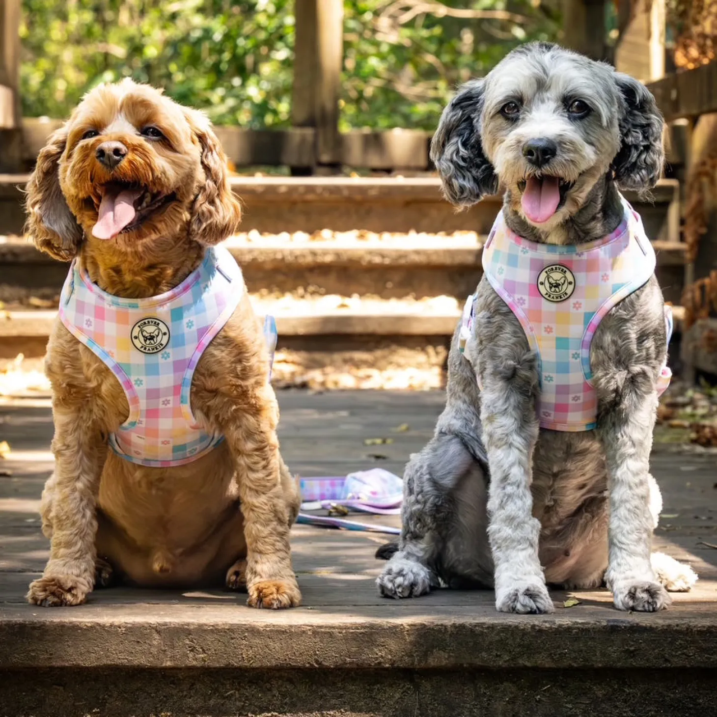 Gingham Wonderland - Adjustable Harness