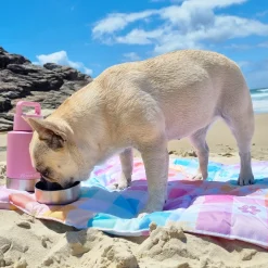 Gingham Wonderland - Adventure Mat