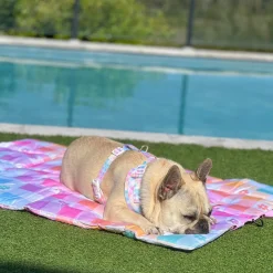 Gingham Wonderland - Adventure Mat