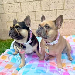 Gingham Wonderland - Adventure Mat