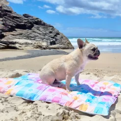 Gingham Wonderland - Adventure Mat