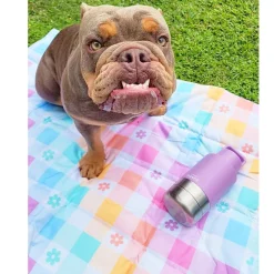 Gingham Wonderland - Adventure Mat