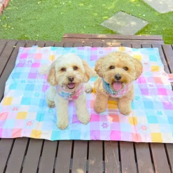 Gingham Wonderland - Adventure Mat