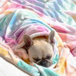 Gingham Wonderland - Extra Soft Pet Blanket