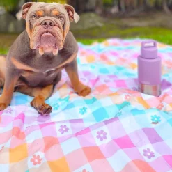 Gingham Wonderland - Picnic Blanket