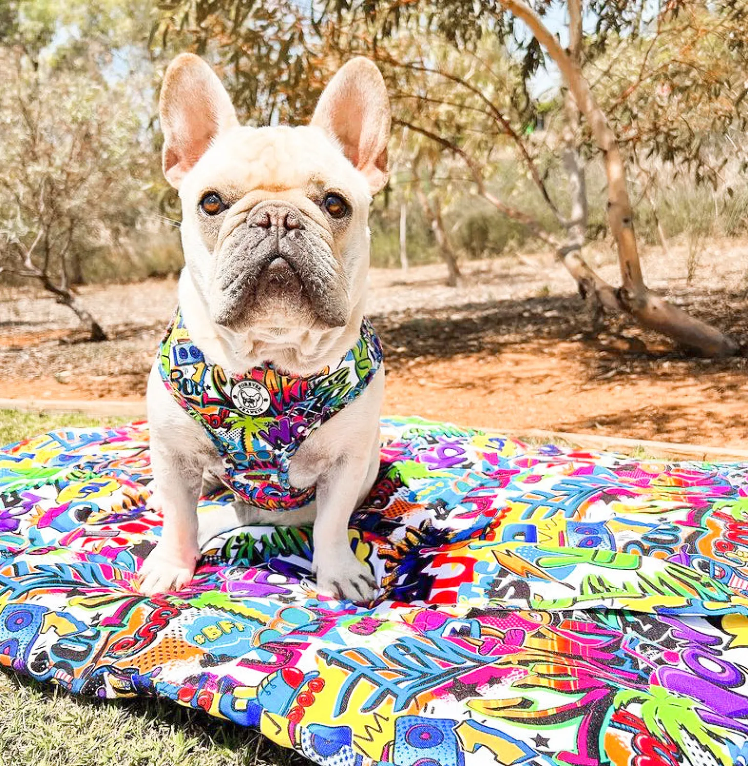 Graffiti - Adventure Mat - End Of Line