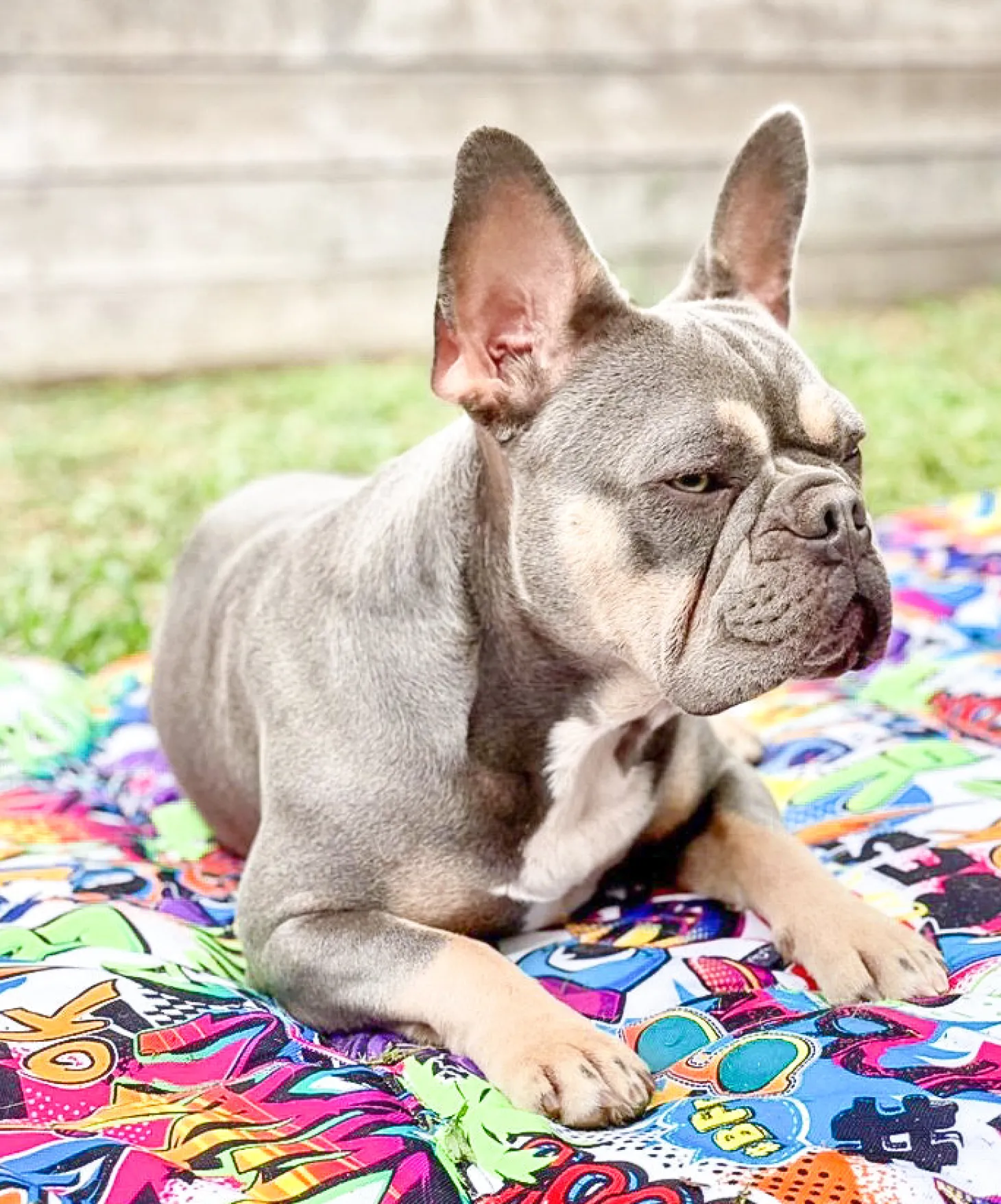 Graffiti - Adventure Mat - End Of Line